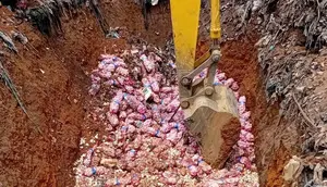 29 Ton Bawang Putih Asal China Berakhir di TPA Batam