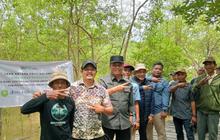 Pemkab Tanjab Barat Genjot Perbaikan Jalan Ekowisata Mangrove Pangkal Babu untuk Kemudahan Akses