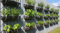 7 Ide Memanfaatkan Botol Air Mineral Bekas untuk Urban Farming yang Praktis dan Hemat Tempat