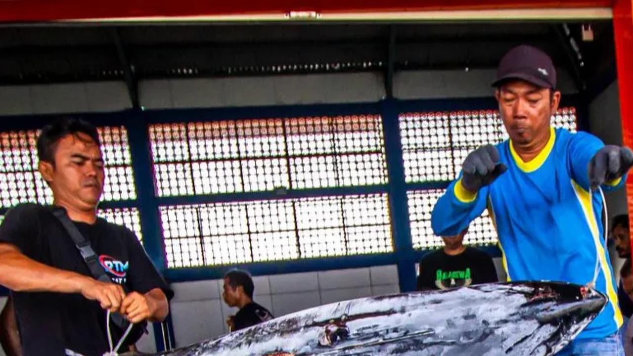 Kebijakan PIT diharapkan berdampak pada Penerimaan Negara Bukan Pajak (PNBP) pascaproduksi sekitar Rp 1,6 triliun sampai Rp 2,5 triliun dalam kurun waktu satu tahun.