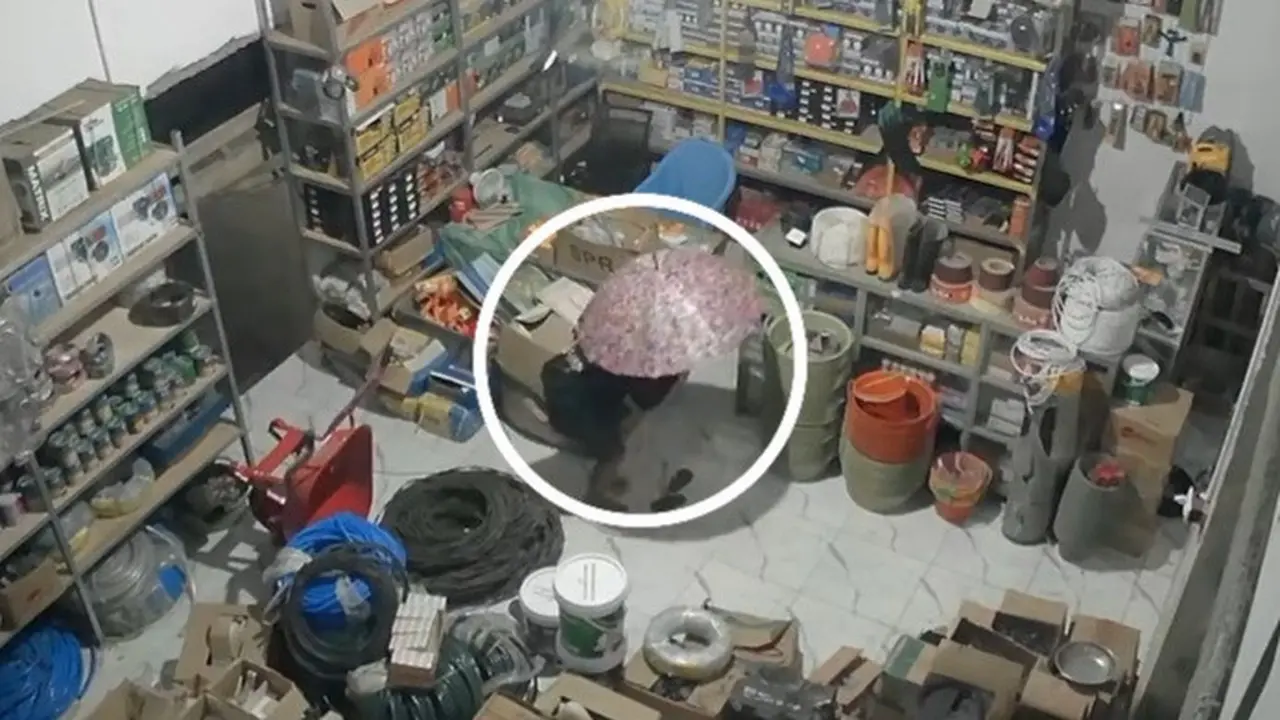 Viral CCTV Maling Berpayung Merah Muda di Lampung, Polisi Ungkap Komplotan Spesialis 30 TKP