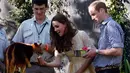 Saat berkunjung kebun binatang Taronga, Sydney, Australia, (20/4/2014), Kate Middleton juga terlihat memberi makan seekor kanguru pohon. (REUTERS / David Gray)