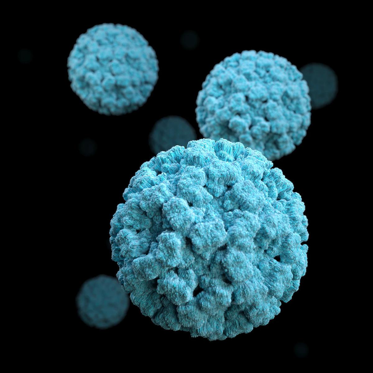 Ilustrasi Virus
