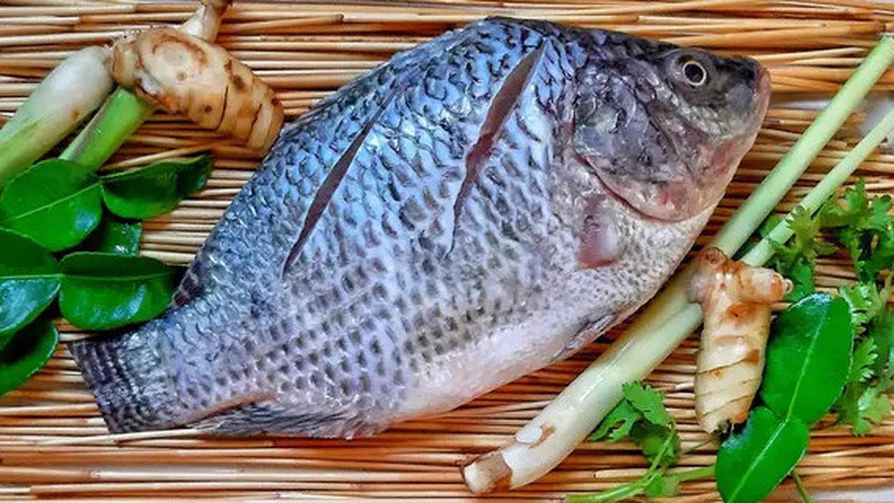 Daftar Ikan yang Boleh Dimakan Penderita Asam Urat