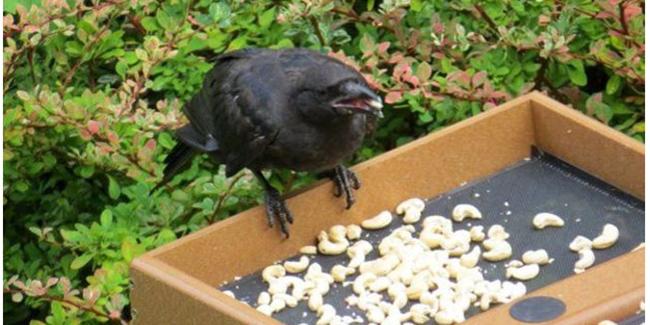 Foto: copyright godupdates.com