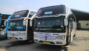 Bus DAMRI