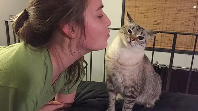 Tak Mau Dipeluk dan Dicium, 10 Ekspresi Kucing Ini Tampak Kocak