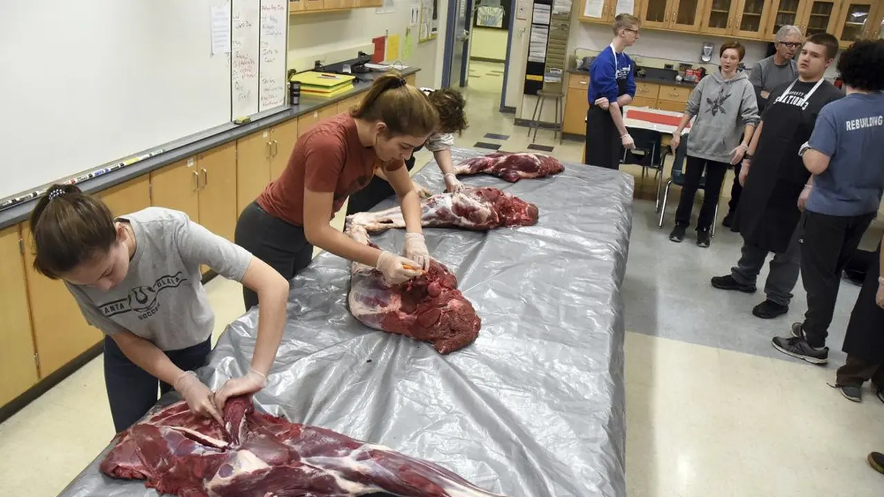 Murid Alaska mengolah daging rusa di sekolah.