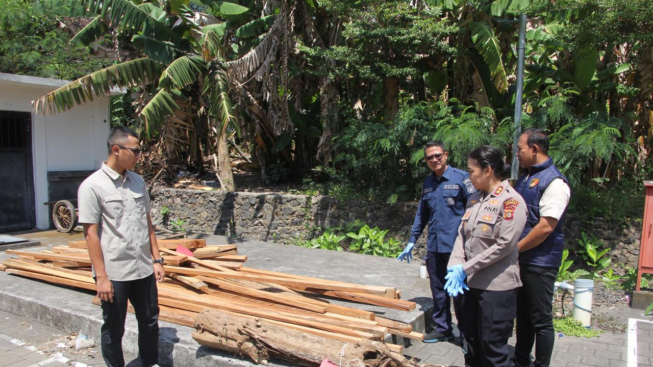 Tebang Pohon di Hutan Lindung Bali, 2 Orang Ditetapkan Tersangka