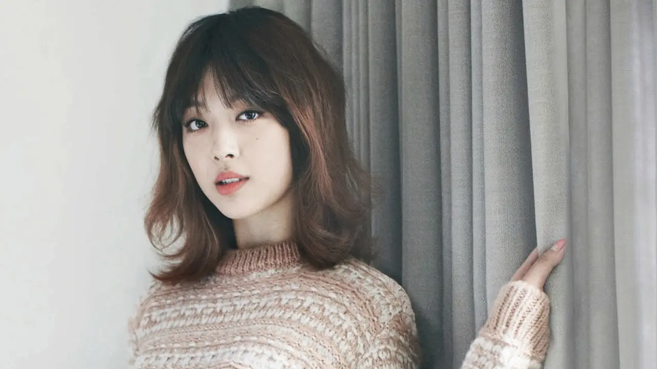 Sulli f (x)