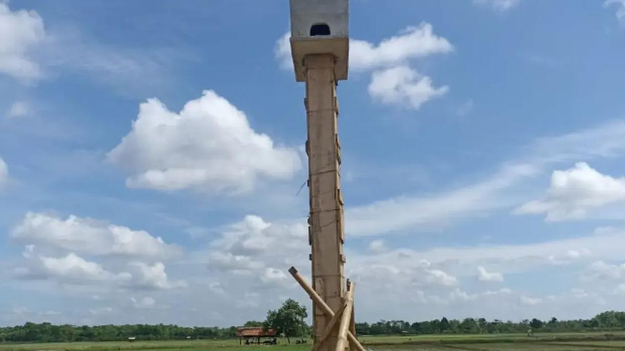Disebar di Berbagai Wilayah