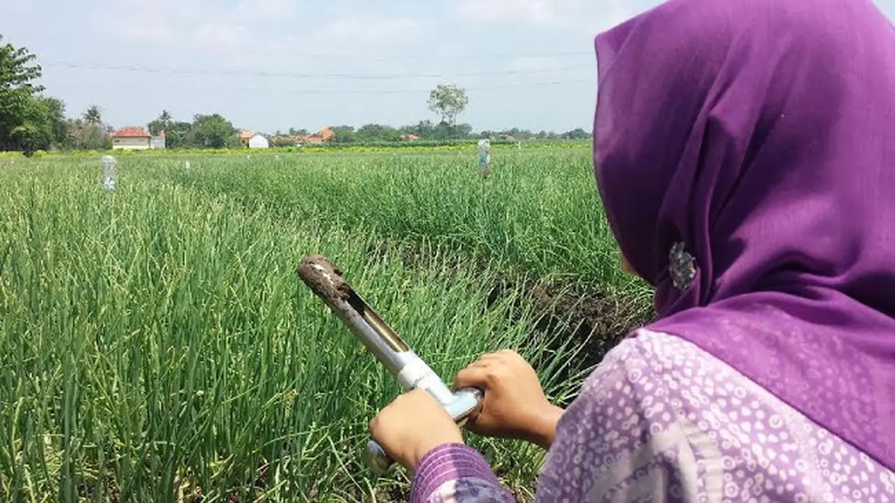 (Foto: Liputan6.com/Fajar N)