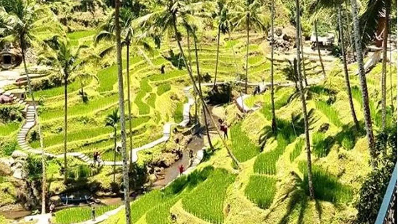 Tegalalang Rice Terrace di Ubud, Bali