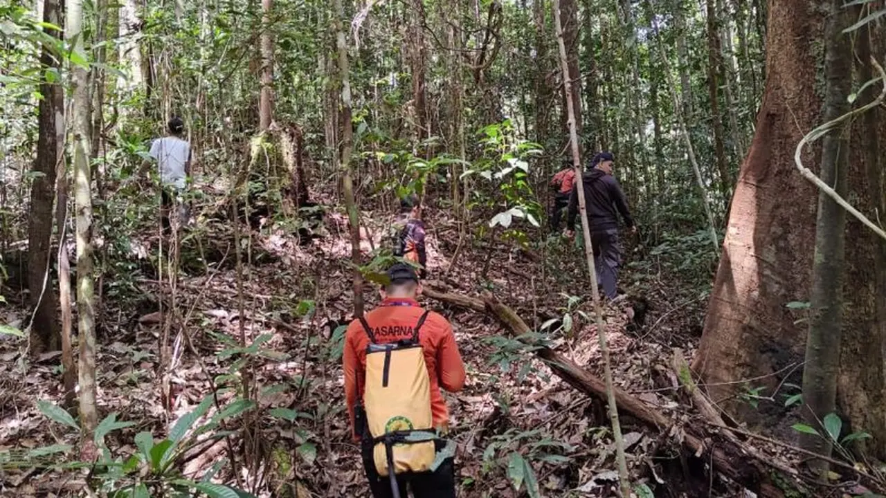 Basarnas mencari nenek hilang di hutan