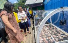 Teknologi Surya Angkat Nilai Ikan Papua, Solusi Inovatif Nelayan Pulau Kosong