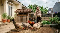13 Hewan Ternak yang Cocok Dipelihara IRT untuk Kebutuhan Konsumsi Sendiri
