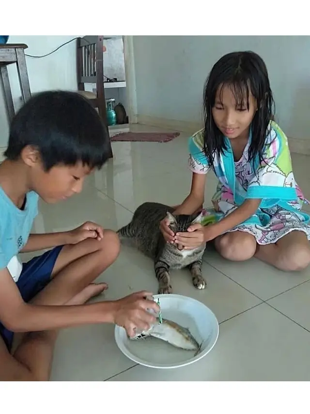 Kelakuan Orang Kelewat Sayang dengan Kucing Ini Bikin Geleng-Geleng