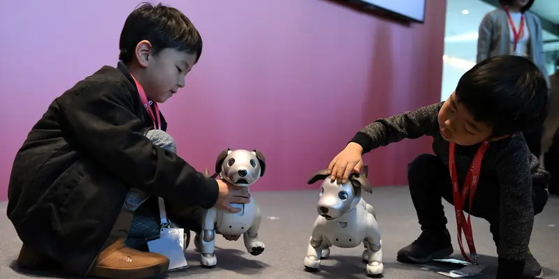 Bak Hewan Sungguhan, Anak-Anak ini Akrab Dengan Robot Anjing Aibo