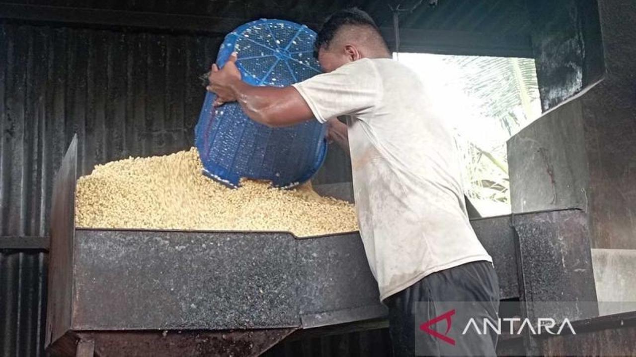Program MBG Dongkrak Permintaan Tempe Aceh, Perajin Hadapi Kenaikan Harga Kedelai