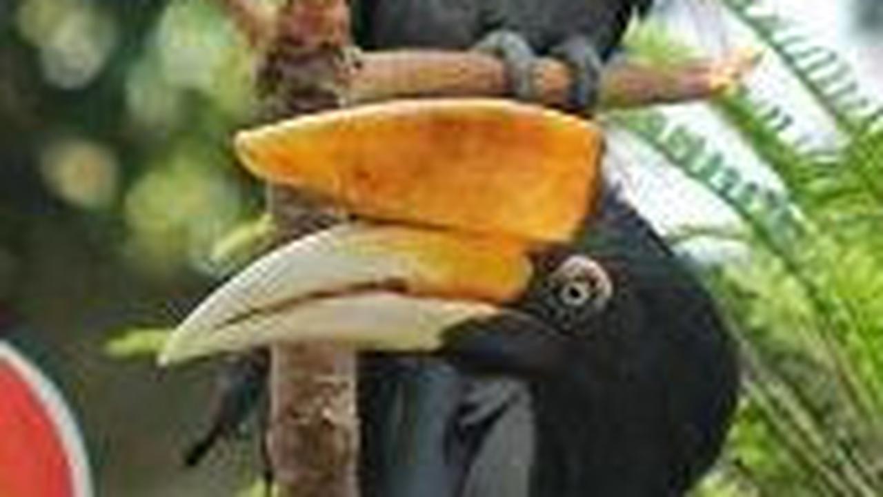 <b>Wisata Edukasi Agrowisata dan Satwa</b>