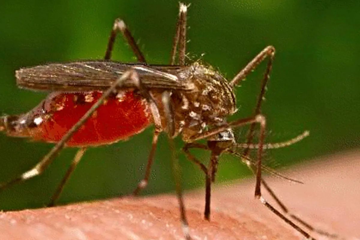 3 Hal Unik Tentang Darah Yang Harus Anda Ketahui