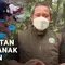 Terluka Terjebak Karhutla, Induk Orang Utan dan Bayinya Dievakuasi
