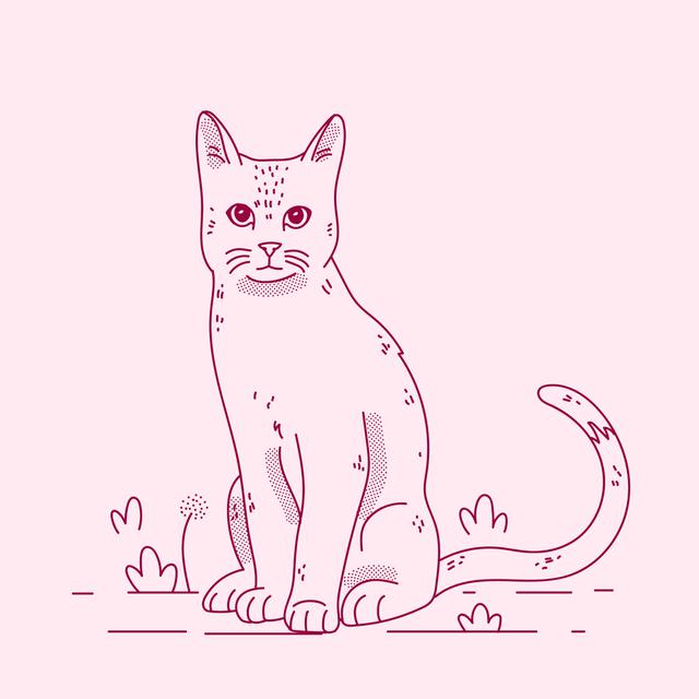 Cat Drawing