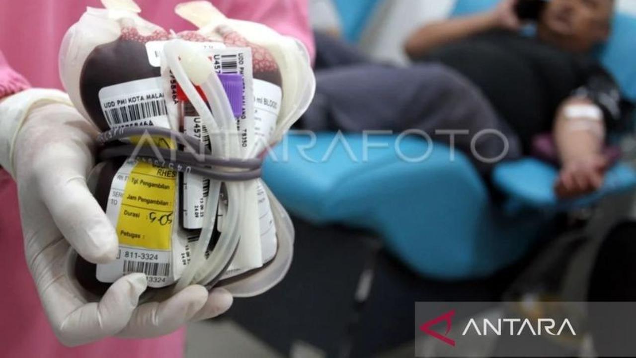 Fakta Mengejutkan: Rutin Donor Darah Ternyata Ampuh Turunkan Risiko Penyakit Jantung dan Stroke!