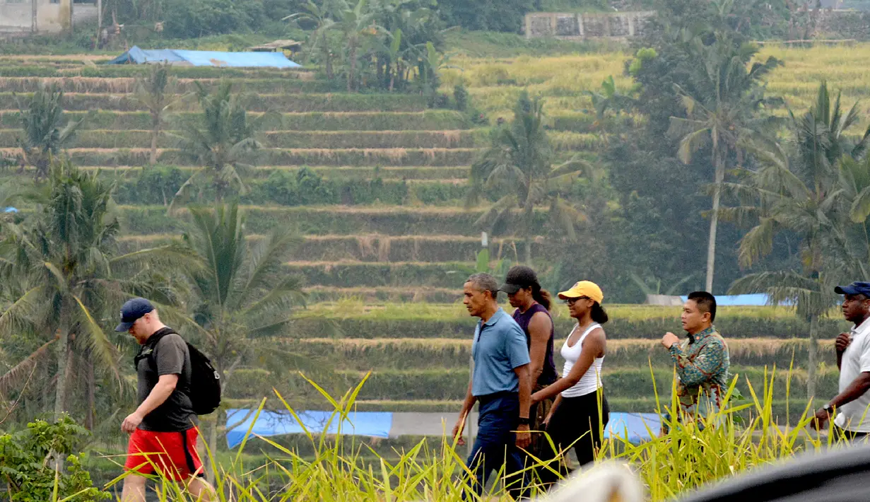 Mantan Presiden AS Barack Obama dan rombongan beristirahat setelah berjalan-jalan melewati lapangan saat mengunjungi lokasi wisata Jatiluwih di Tabanan, Bali, Minggu (25/06). Obama mengenakan kaos polo biru dan Michelle mengenakan topi kuning. (AFP/STR)