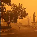 Kebakaran Hutan Kalimantan dan Sumpit Kita di Meja Makan Global