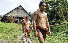 Menengok kehidupan tradisional suku Mentawai