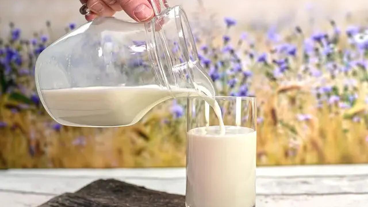 Apakah Benar Bahan Utama Susu Nabati Meningkatkan Risiko Kanker Usus Besar?