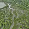 Indonesia Perkuat Rehabilitasi Mangrove Berbasis Ekologi