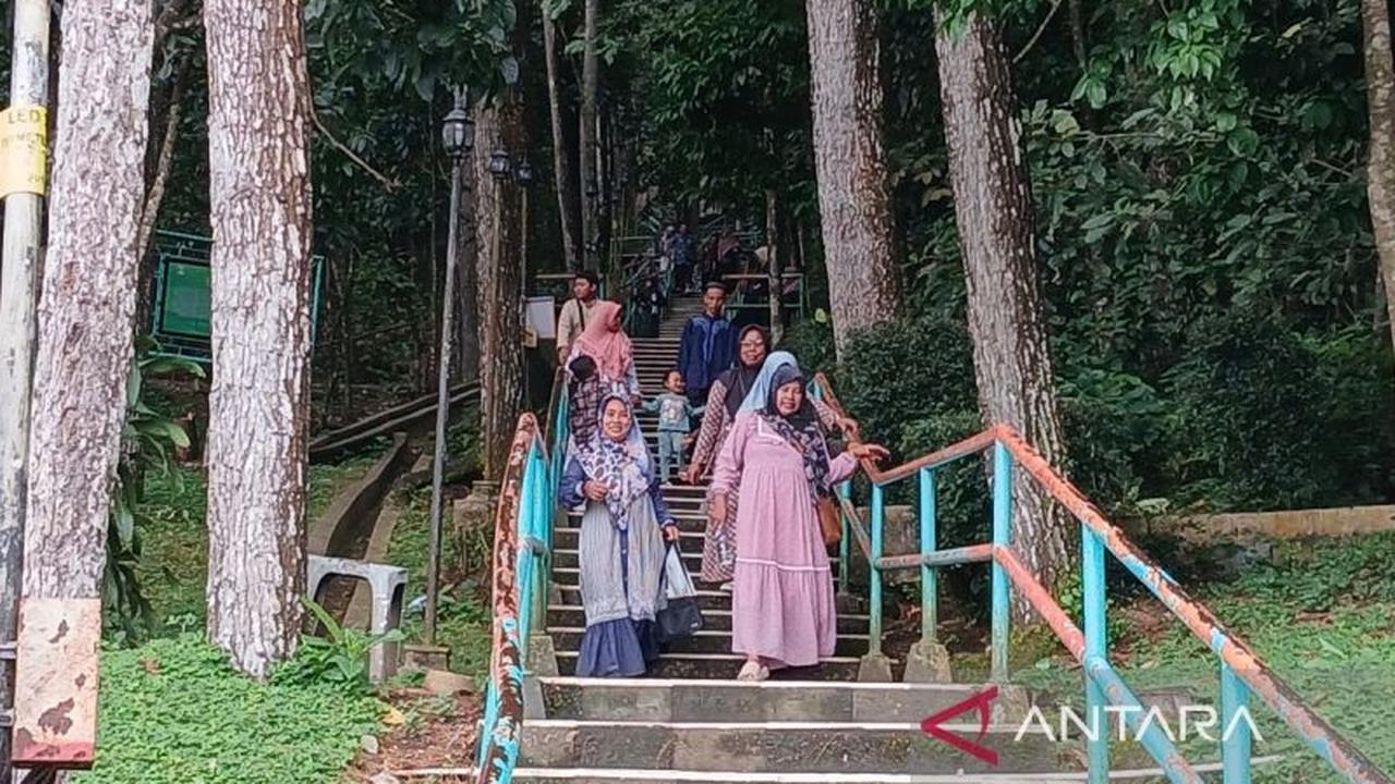 Lima Peziarah Gunung Tidar Tertimpa Pohon, Satu Meninggal Dunia Akibat Angin Kencang