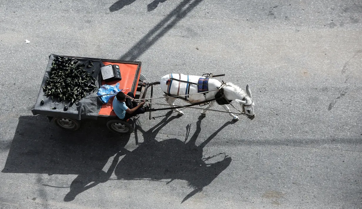 Seorang pria Palestina menjual terong di gerobak keledai di sebuah pasar yang kembali dibuka setelah pelonggaran karantina di kamp pengungsi Nuseirat di Jalur Gaza tengah, Senin (13/7/2020). (AFP/Mohammed Abed)
