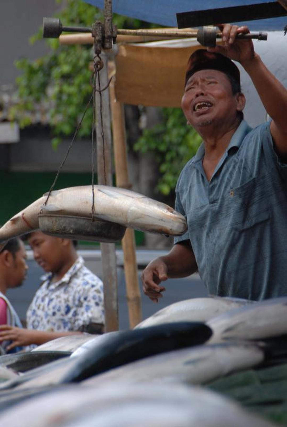 Jelang Imlek, harga Ikan Bandeng mengalami kenaikan