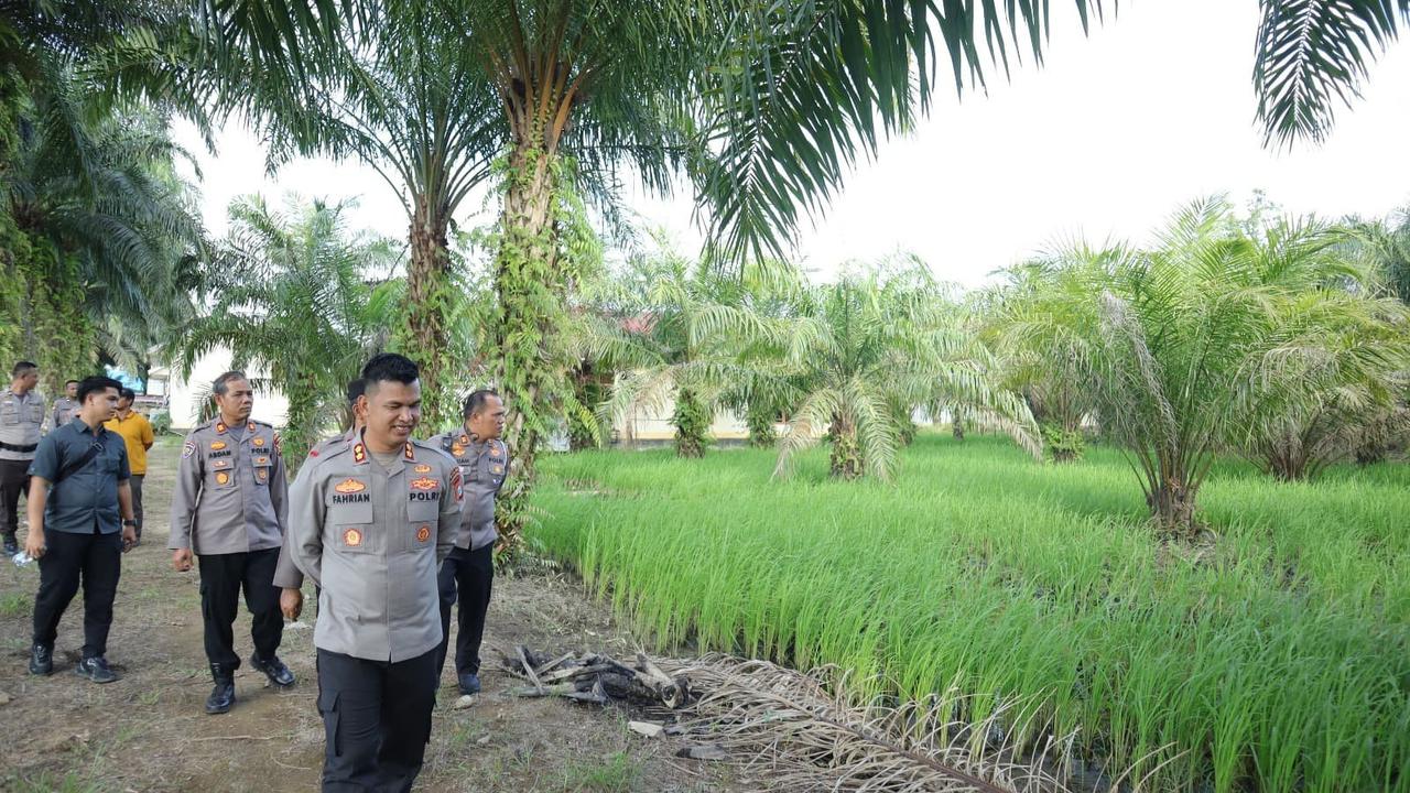 kantor polisi jadi sawah