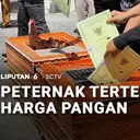 Peternak Tertekan Harga Pakan