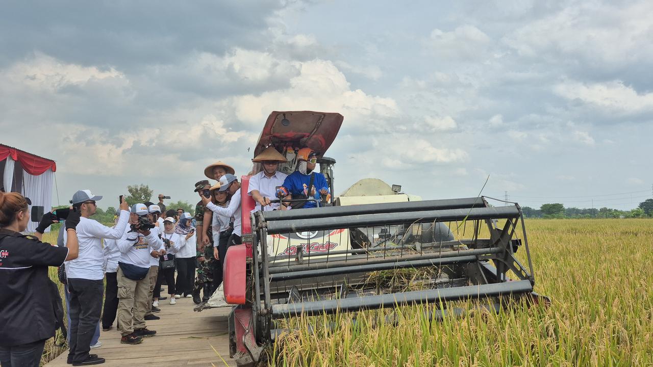 Bulog Catat Telah Serap 400.000 Ton Gabah dan Beras Petani per Maret 2025