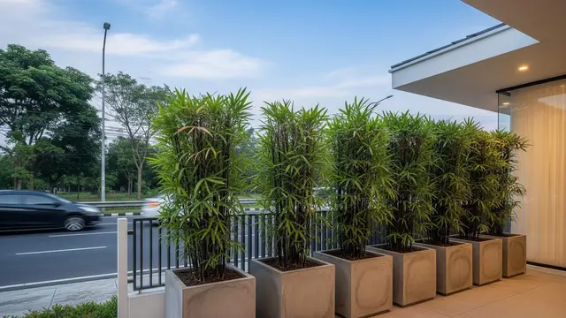 Desain Teras untuk Rumah yang Menghadap Jalan Raya