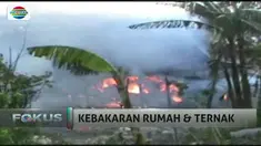Tak hanya rumah, empat ekor kambing ternak turut terpanggang. 