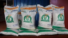 Bansos Beras 30 Kg Mulai Disebar 17 Agustus 2026