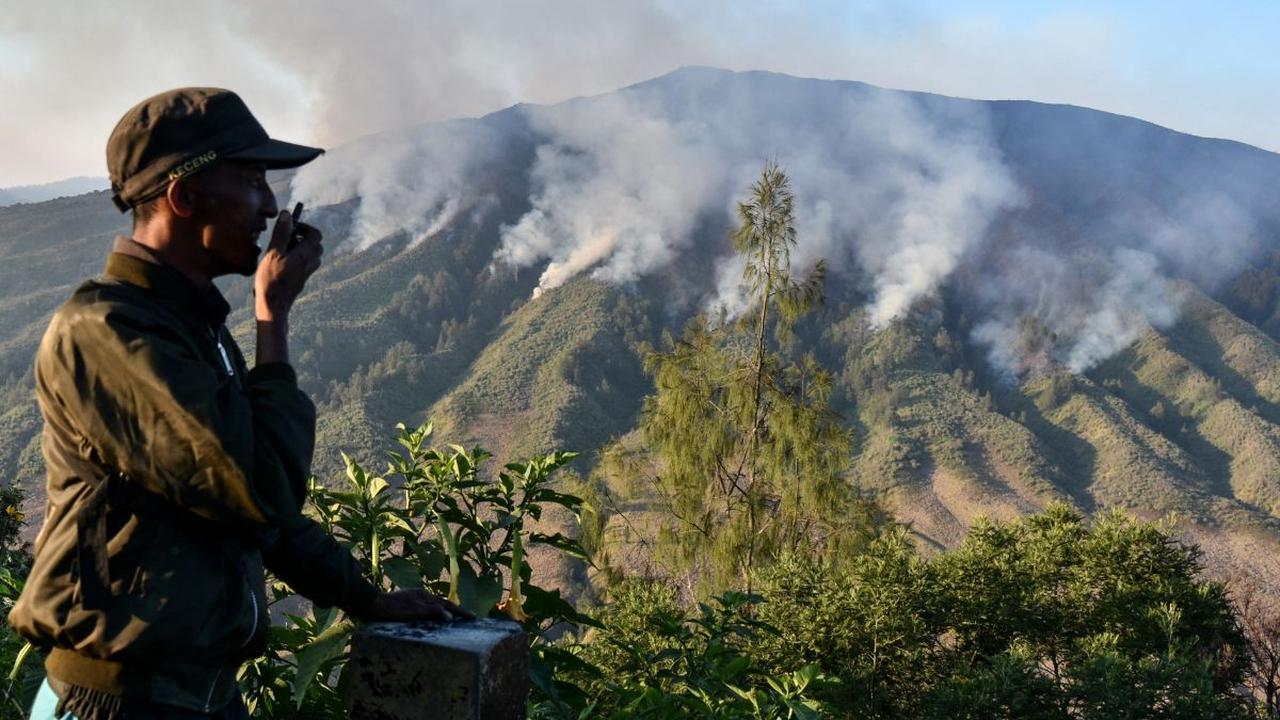 Taman Nasional Bromo Tengger Semeru (TNBTS) menyatakan kebakaran di kawasan Gunung Bromo telah berdampak pada kehidupan ragam jenis flora dan fauna. <br>