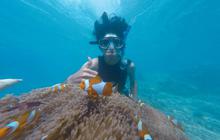 Peringatan Hari Snorkeling Sedunia 30 Juli, Ketahui Tujuannya