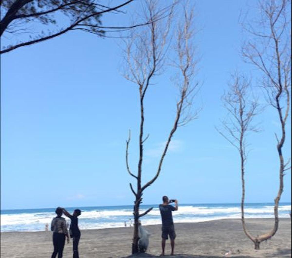 “Pantai Cemara Cipanglay jadi salah satu tujuan wisata yang cukup ramai di Cianjur. Panorama alamnya yang ciamik membuat tempat ini bak primadona, apalagi pohon-pohon cemara yang berjajar menambah keindahannya,” tulis keterangan di laman Instagram Dis