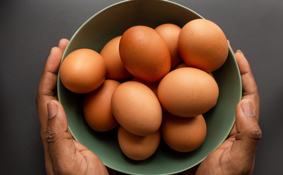 Ilustrasi telur ayam