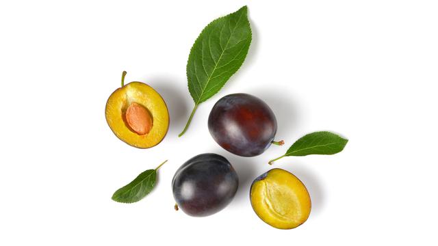 Plum oil bagus untuk kecantikan kulit