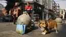 Seekor anjing beristirahat saat penduduk berdiri di dekat daging yang digantung untuk dikeringkan di Wuhan, China, Jumat (15/1/2021). Selain masker, orang-orang menjalani kehidupan sehari-hari mereka seperti sebelumnya di Wuhan, tempat pertama kali virus corona terdeteksi. (AP Photo/Ng Han Guan)