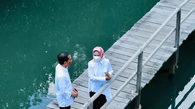 Presiden Jokowi dan Ibu Iriana di Hutan Mangrove Bali