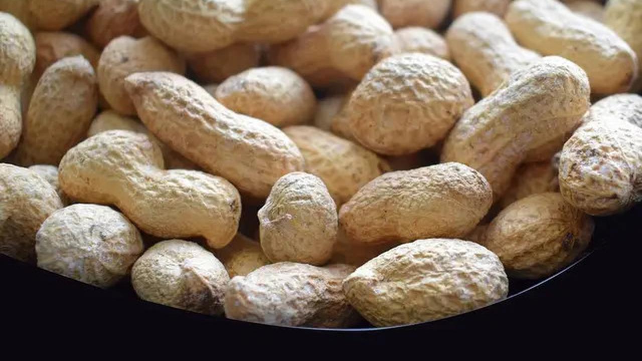 Tips Merebus Kacang Tanah agar Cepat Empuk dan Gurih, Irit Gas dan Praktis